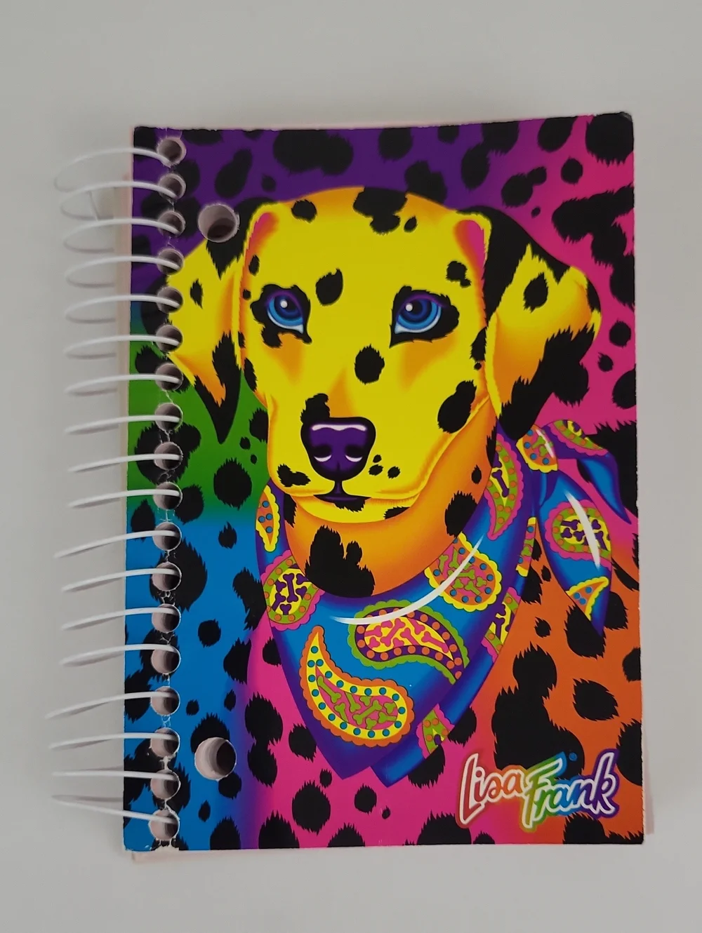 Vtg Lisa Frank Big Little Notebook Spiral